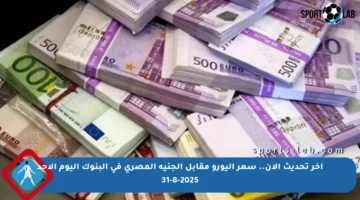آخر تحديث الآن.. سعر اليورو مقابل الجنيه المصري في البنوك اليوم الأحد 31-8-2025